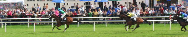 galway races